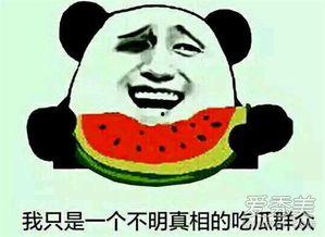 表情吃瓜是啥意思啊,表情吃瓜的趣味内涵